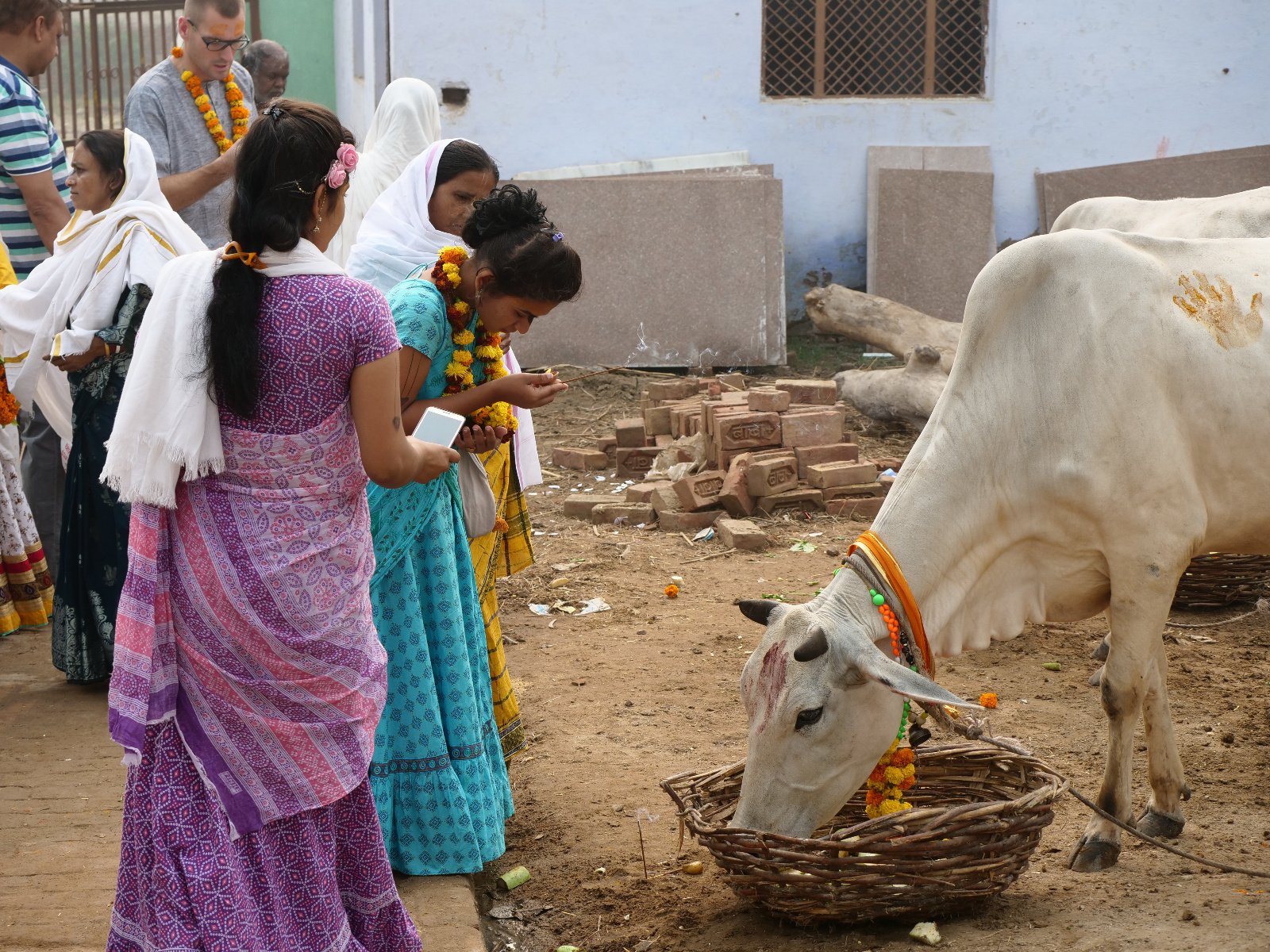  141 Gopashtami Radha kunda Govardhan 19.11.04